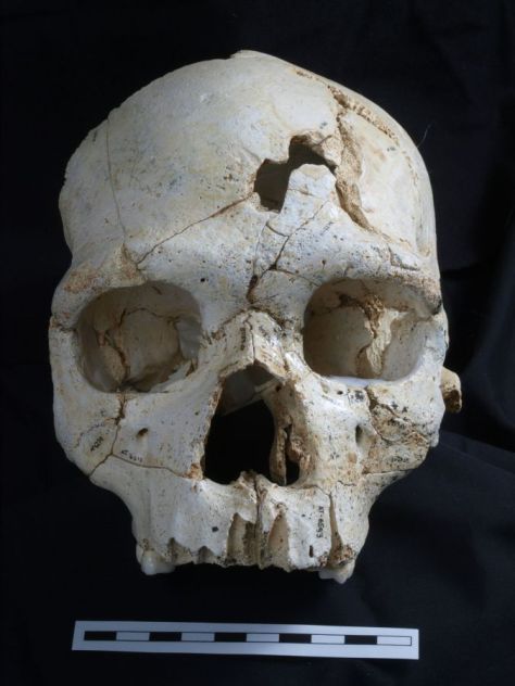 Cranium 17 from the Sima de los Huesos